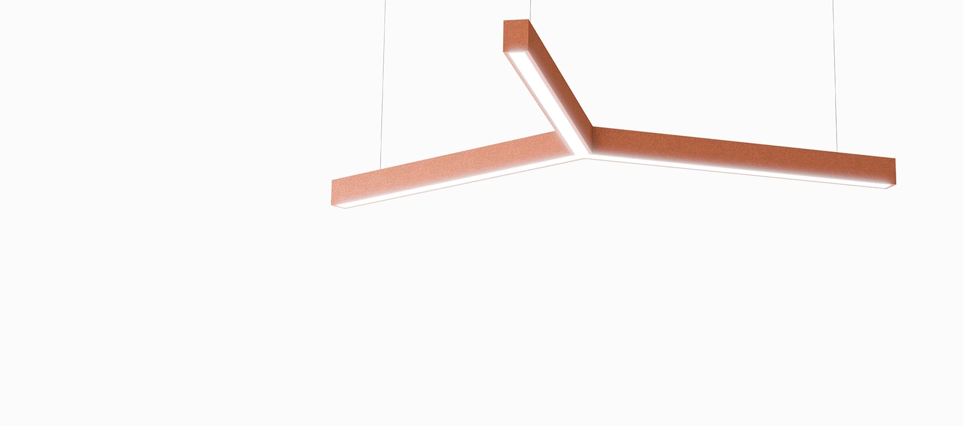 Branch